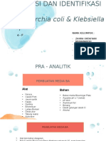 E.coli Dan Klebsiella Kel.3