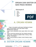 Organ Dan Sistem Organ Hewan Kelompok 666666