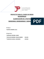 Clasificación de Frutos - Redes Neuronales