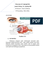 Glaucoma Dan Conjungtivitis PDF
