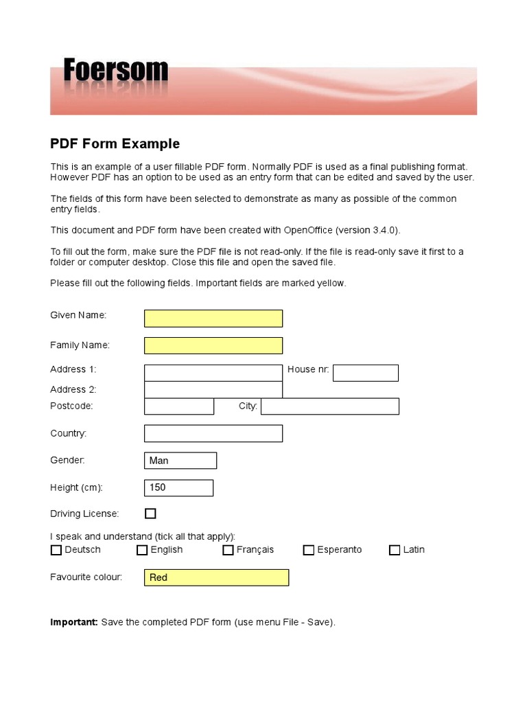 User Fillable PDF Form Example | PDF