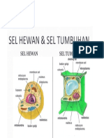 sel hewan&tumbuhan