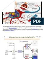 Redes Neuronales Con Python