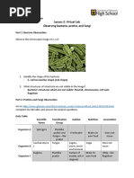 Lesson 2: Virtual Lab Observing Bacteria, Protist, and Fungi