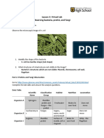 Lesson 2: Virtual Lab Observing Bacteria, Protist, and Fungi