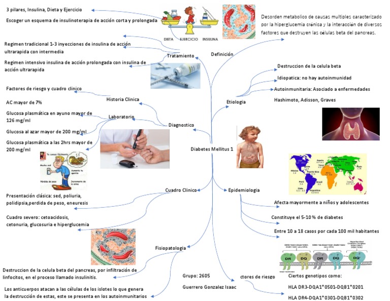 Mapa Mental DM1 Guerrero González Isaac | PDF | Diabetes | Endocrino