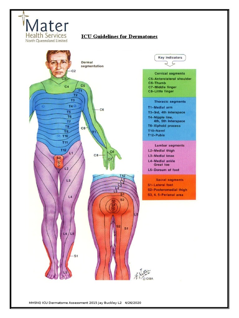 ICU Dermatome Assessment Guidelines | PDF