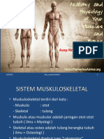 Anatomi Fisiologi Muskuloskeletal Ppt.