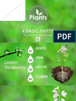 K2 - Basic Parts of The Plant Lesson 1