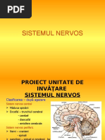 1.sistemul_nervos