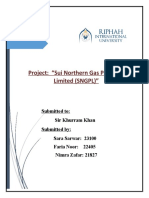 Project: "Sui Northern Gas Pipelines Limited (SNGPL) "