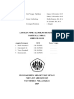 Laporan Praktikum Ilmu Penyakit Bakterial Mikal-Aspergillosis PDF