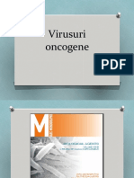 Oncogenic Viruses