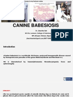 Canine Babesiosis - DR - Jibachha Sah, M.V.SC, Lecture