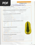 100 Ejercicios para Repasar Ortografia y Gramatica - Santillana 4to ...