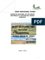 Plan Regional Ambiental Puno 2019-2021