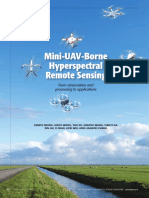 Mini-UAV-Borne Hyperspectral Remote Sensing: From Observation and Processing To Applications