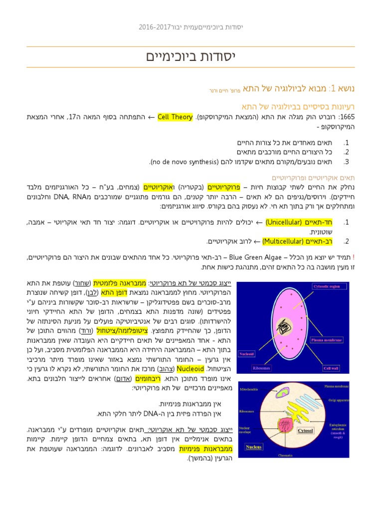 ביוכימיה - עד ליפידים | PDF