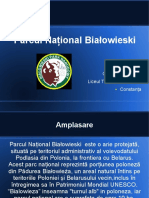 Parcul Național Białowieski - Odp