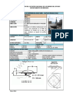 Ficha BN13 Santiago 2013 PDF