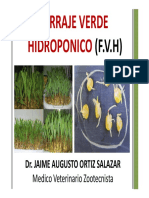 FORRAJE VERDE HIDROPONICO.pdf