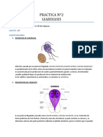 Práctica No2 Giardiasis: Síntomas, Ciclo de Vida, Diagnóstico y Tratamiento de la Infección por Giardia