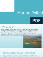 Marine Pollution.pptx