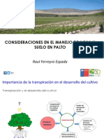 10 Raul Ferreyra Manejo de Riego en Palto Peru Trujillo PDF