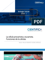 Clase 2. Paulo Flores, La Célula Procariota y Eucariota. Funciones de La Célula PDF