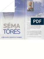 Sárvári György - Sématörés (2013) PDF