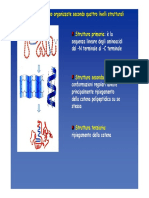 Struttura proteine2015 seconda parte.pdf