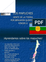 Cultura mapuche en