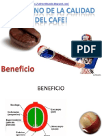 Beneficio-El Camino de La Calidad Del Cafe