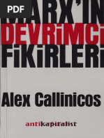 Alex Callinicos - Marx'ın Devrimci Fikirleri PDF