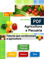 1.Fatores que condicionam a agricultura.pdf