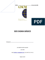 SEIS_SIGMA_BASICO.docx