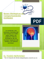 Bases Biológicas Del Comportamiento