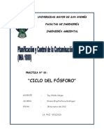 Ciclo Fosforo