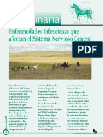 Dialnet-EnfermedadesInfecciosasQueAfectanAlSistemaNervioso-5997840