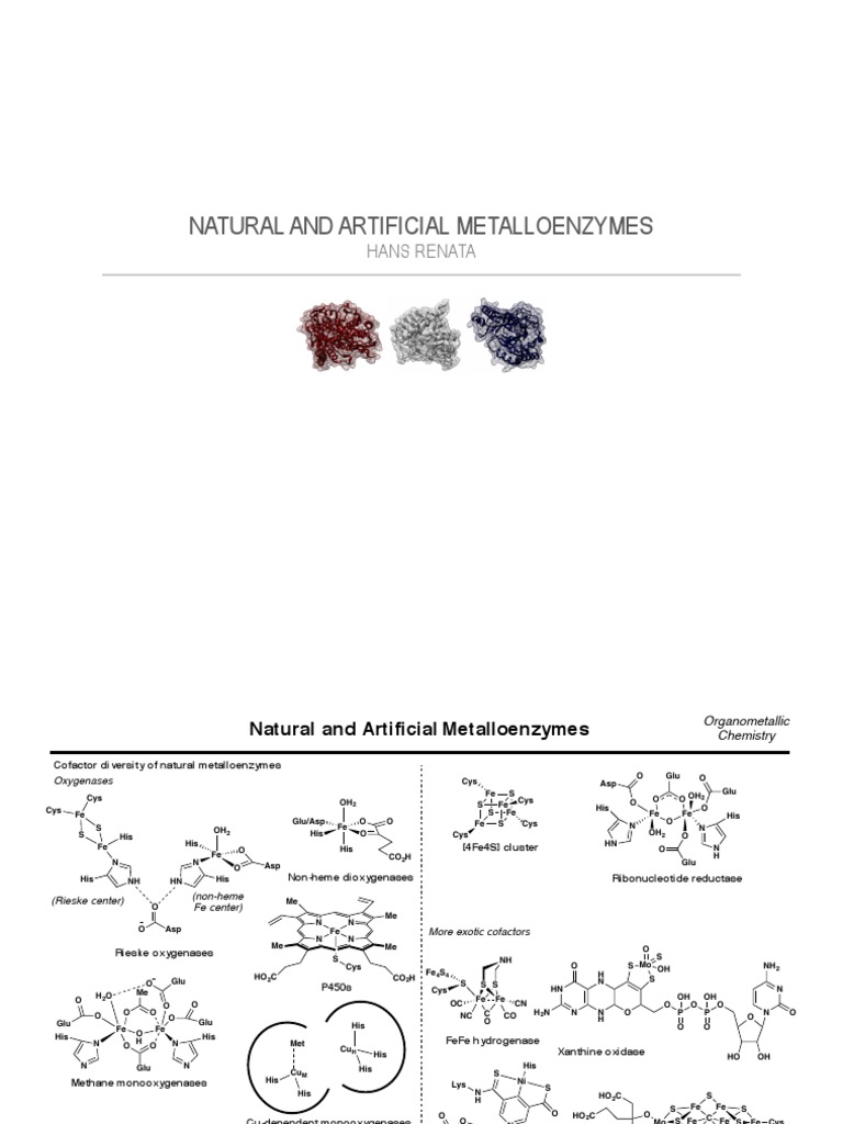 Metalloenzymes 2019 | PDF | Biomolecules | Macromolecules