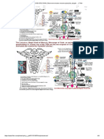 CADUCEUS DNA _ Observam structura macroscopica(Ida, pingala … _ Flickr