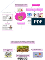 Mapa Mental de Pensamiento Grecolatino y Medieval