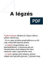 A Légzés