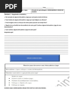 5 Ano Ensino Fundamental