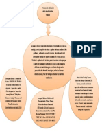 Mapa Conceptual. Proceso de Aplicación de La Medición Del Trabajo