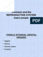 Perineum and Reproductive System