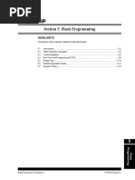 dsPIC33F FRM Section 5. Flash Programming (DS70191B)