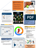 Estructura organizacional deportiva