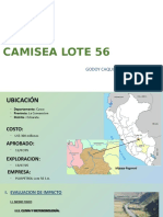 Camisea Lote 56