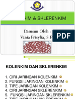 52736039-Bahan-Ajar-Kolenkim-Sklerenkim-Vania-F-S-Pd.pdf